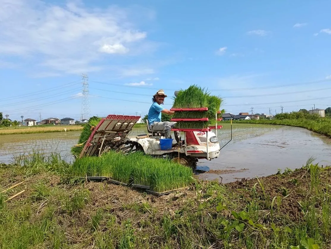 みちくさ。