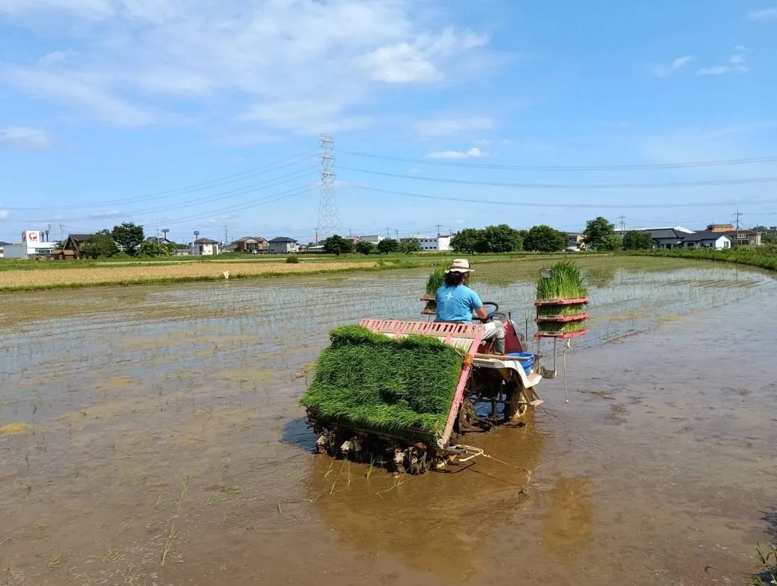 みちくさ。